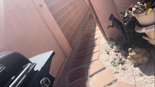 Foto del edificio - 11749 Lily Rubin Ave