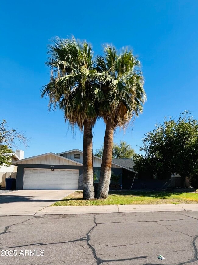 Building Photo - 1269 E Loma Vista Dr