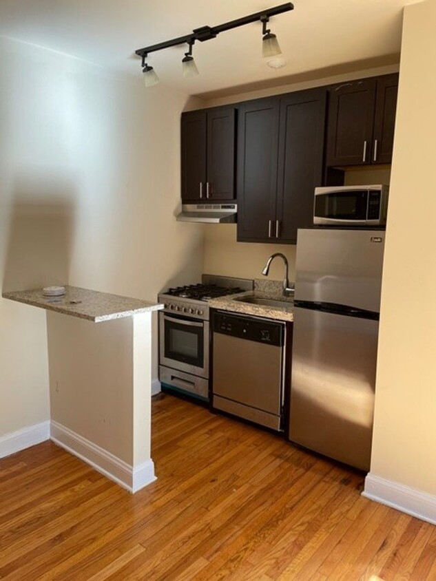 Foto del edificio - NEWLY REHABBED COZY STUDIO IN LINCOLN PARK...
