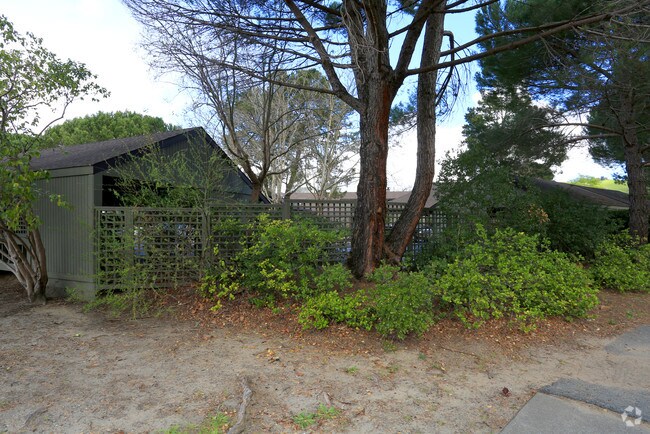 Rare of Building - 11-65 Ashford Ave