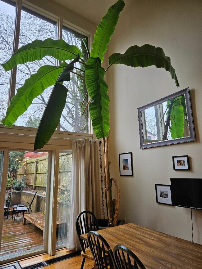 Foto del edificio - 155 Bradley St