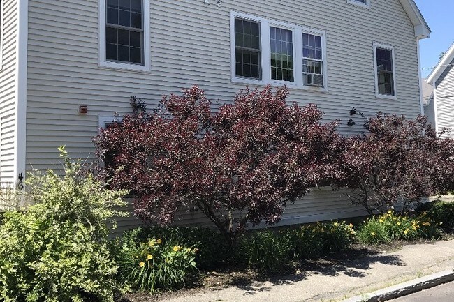 Exterior - 46 Columbia St