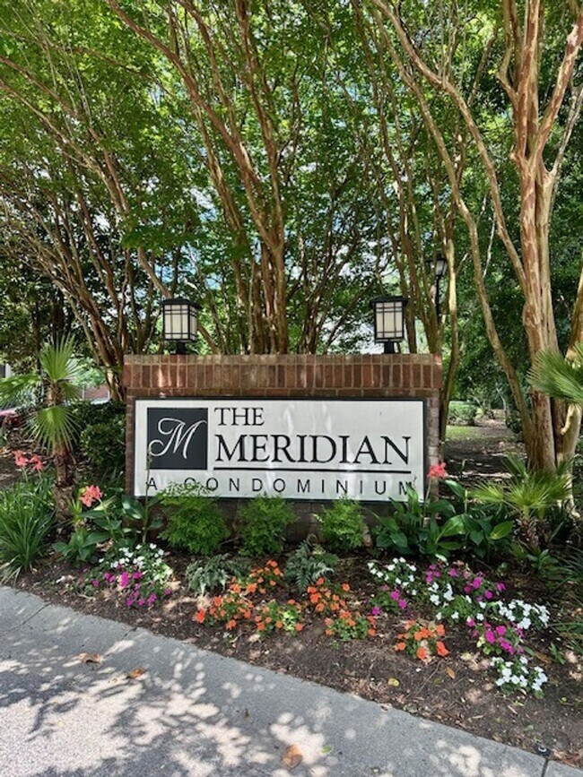 Foto del edificio - 2BD/2BA CONDO- THE MERIDIAN