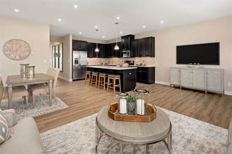 402 Tree Of Heaven Way