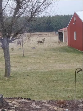 Building Photo - N9362 7th Ave