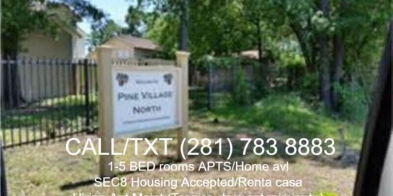 Primary Photo - PV- 12314 Wild Pine Dr