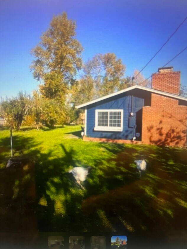 2443 1/2 McKinney Ln, Lebanon, OR 97355 House Rental in Lebanon, OR