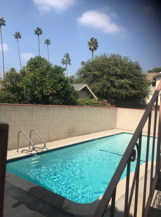 Pool - 101 N Sierra Bonita Ave