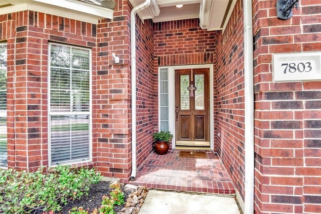 Building Photo - 7803 Blue Stream Ct