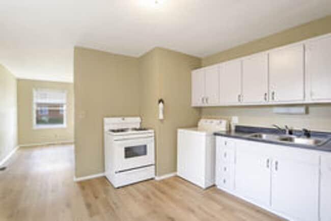 1319/1321 S. State St. - 1319/1321 S. State St. Apartment