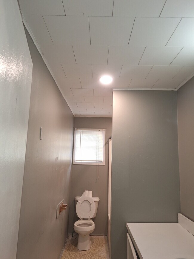 Bathroom - 411 Kibbie St