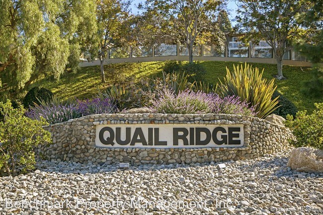 Building Photo - 4226 La Pinata Way