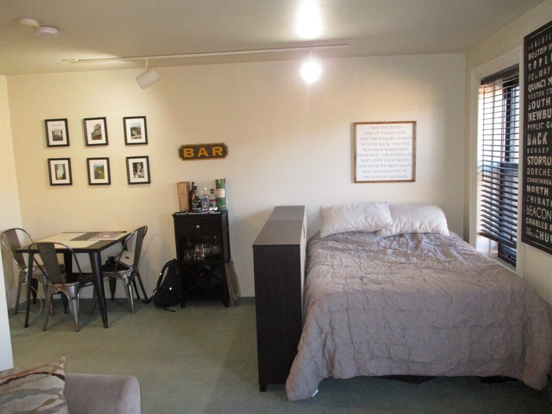 132 W Concord St Unit 3, Boston, MA 02118 Apartments in Boston, MA