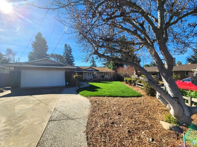 Building Photo - Charming Single Family Home Located in Sou...