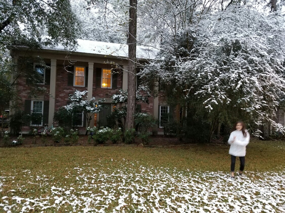 Primary Photo - 163 Sylvan Forest Drive