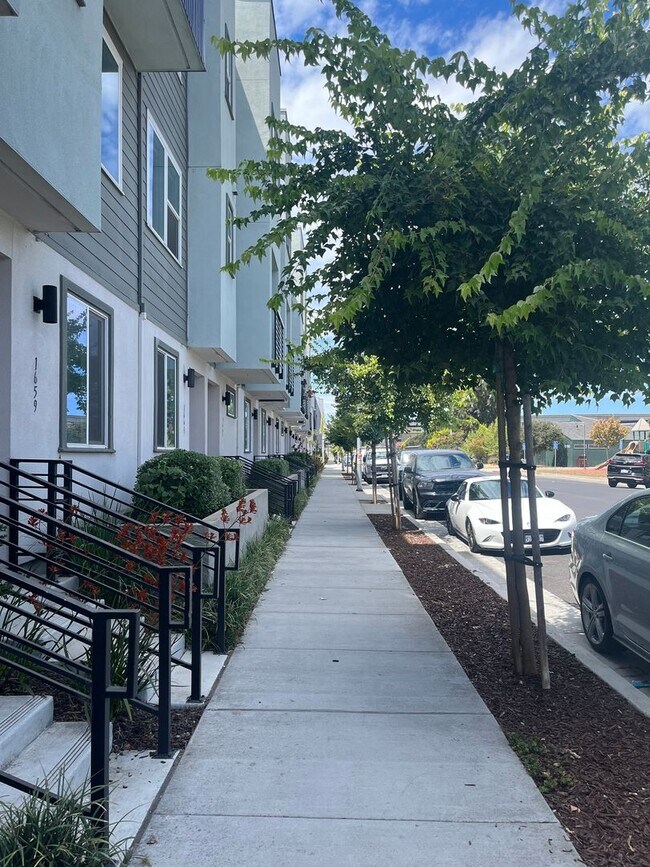 Building Photo - Gorgeous Modern Three bedroom Condo