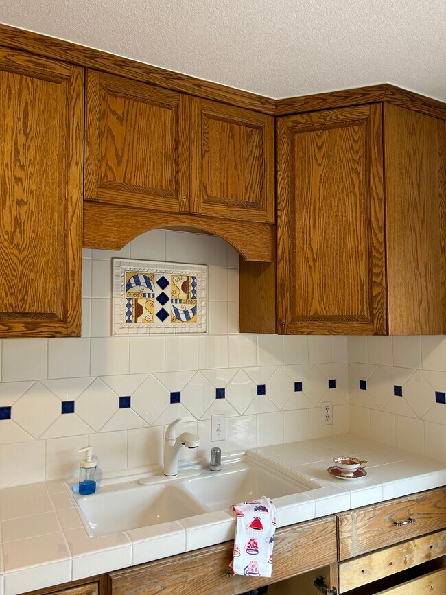 Kitchen sink - 500 Lilac Ln