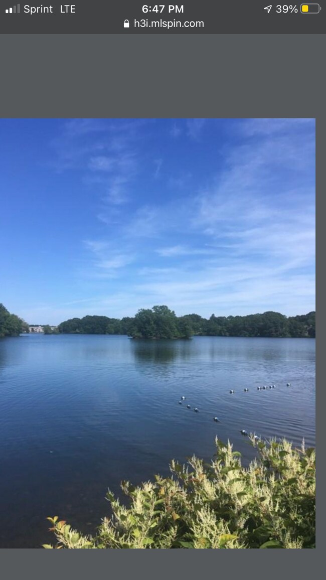 Building Photo - 55 Jefferson St