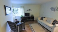 This single-story space features a welcoming living room that serves as its central gathering area. The room is finished with warm hardwood flooring that extends throughout, complemented by light-toned walls that create a bright and airy atmosphere. Natural light filters in through a window dressed with sheer white curtains and horizontal blinds, contributing to the room's open feel. A dark wood media console anchors one wall, providing storage and display space, while decorative wall art adds a subtle design accent above it. The seating arrangement includes a light-colored sofa accented with striped throw pillows and a boldly patterned black-and-white armchair, offering a balanced contrast in the overall aesthetic. A neutral area rug defines the seating zone and ties the space together. Potted indoor plants, including a tall leafy tree, introduce natural greenery that softens the room's clean lines. A door visible toward the back suggests a straightforward, functional floor plan. Overall, the space presents a tidy, well-organized living environment with a casual yet put-together ambiance.
