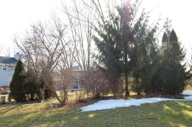 Primary Photo - 1 Bed 1 Bath Upper Unit