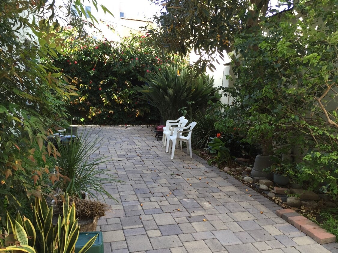 yard - 1640 Berkeley St