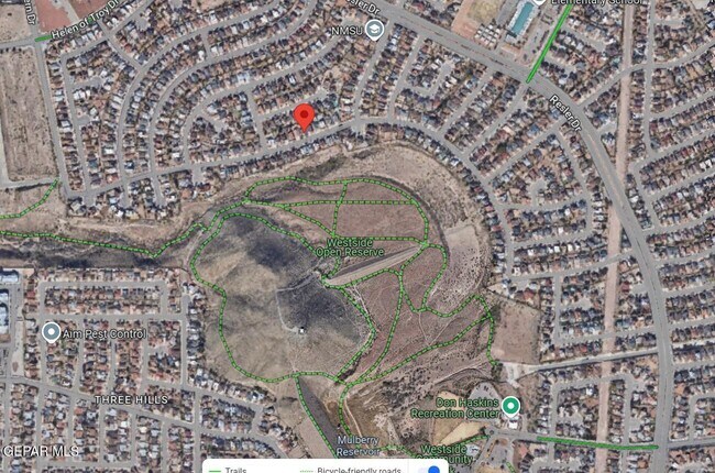 Building Photo - 1473 Desierto Rico Ave