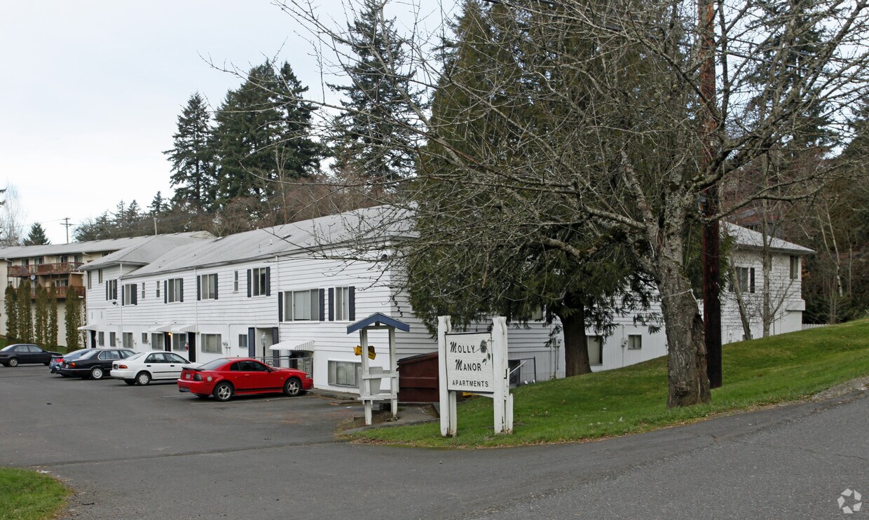 Primary Photo - Molly Manor