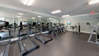 Located at 1140 Trinity Pine Ln in Raleigh, NC, this fitness center offers a comprehensive workout environment designed to support a full range of exercise routines. The space is finished with durable rubber flooring throughout, providing both safety and comfort during workouts. Soft blue-gray walls, white crown molding, and flush overhead fluorescent lighting give the room a clean, polished aesthetic.

Large windows along multiple walls invite generous natural light and offer views of the surrounding greenery, creating an open and energizing atmosphere. Full-length mirrors line the interior walls, enhancing the sense of space and allowing users to monitor their form during exercise.

The cardio section is well-stocked with a lineup of TRUE brand treadmills, elliptical trainers, and stationary bikes, several of which feature integrated display screens. The strength training area includes multiple cable and selectorized weight machines accommodating a variety of muscle groups, along with free weight benches and additional resistance equipment. Workout reference charts are mounted on the walls, providing exercise guidance for users of all fitness levels.

The layout is thoughtfully organized to allow ample circulation between equipment zones, making this fitness center a practical and well-rounded facility for residents and users of the community.