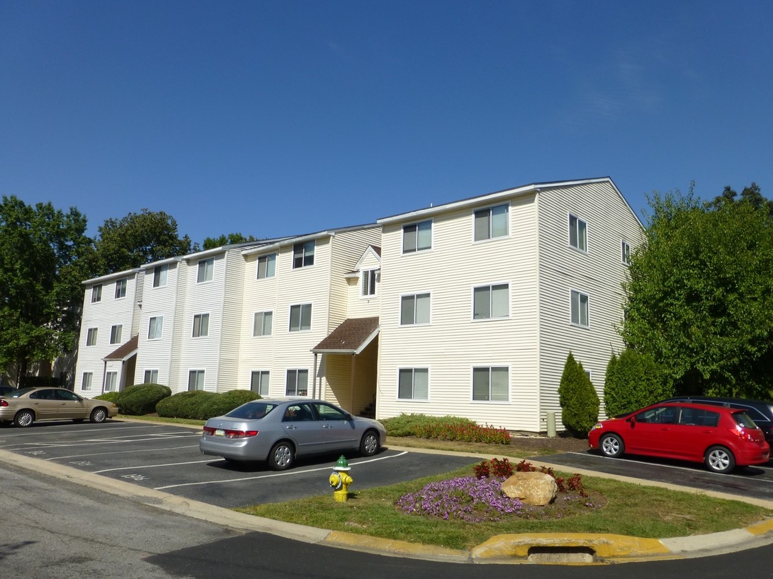 Primary Photo - The Elms Apts