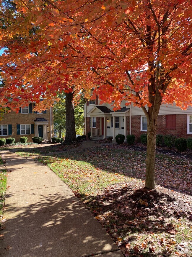 Brentwood Forest Condominiums Apartments for Rent Brentwood, MO 3