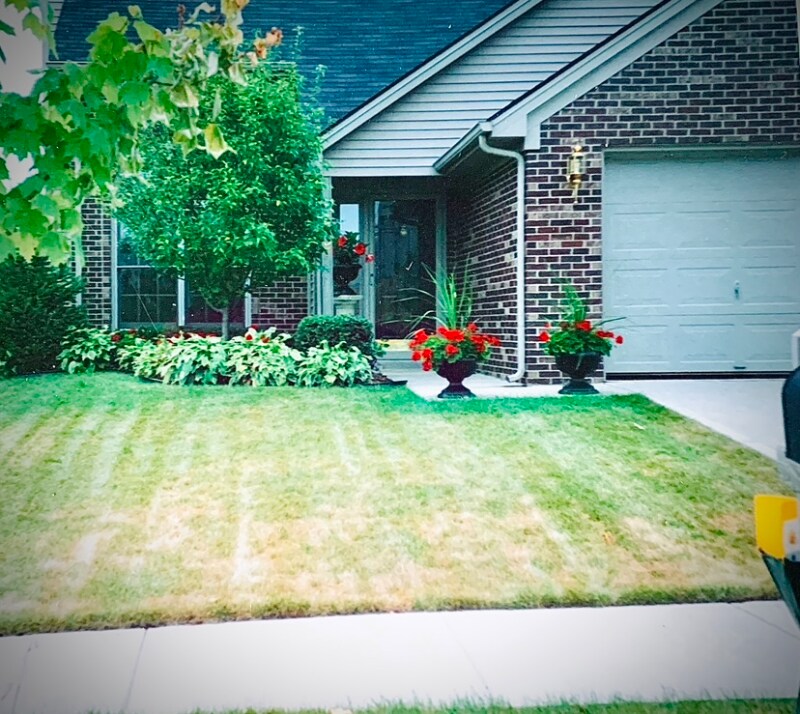 3737 White Pine Dr, Lexington, KY 40514 House Rental in Lexington, KY