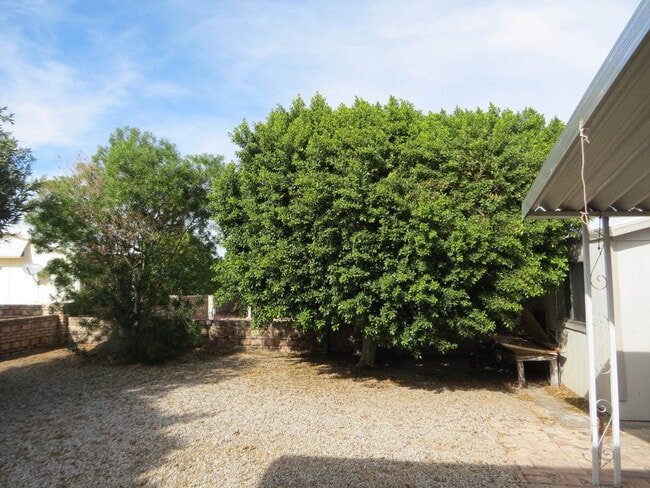 Foto del edificio - CLEAN 2 BED, 1 BATH IN THE FOOTHILLS!