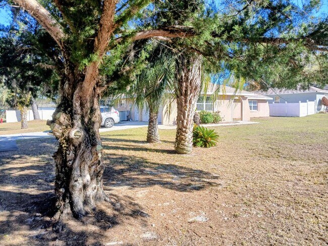 Foto del edificio - 301 Woodland Trl