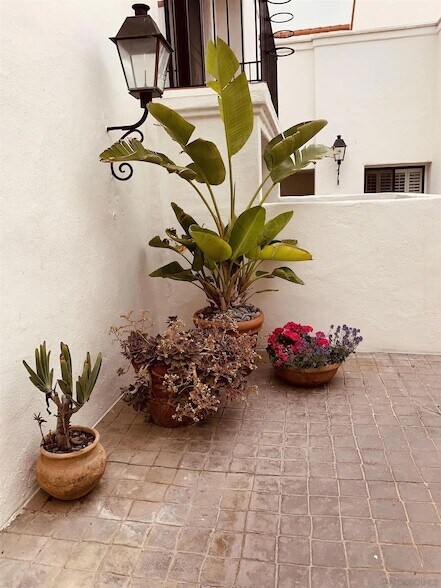 Foto del edificio - 303 Coast S Blvd