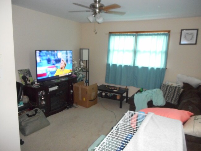 Living Room - 218 Salomone Ave