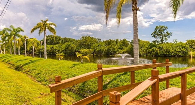 Building Photo - Tropical Palms