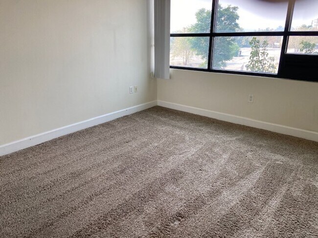 Foto del edificio - Newly Remodeled Downtown Stunner