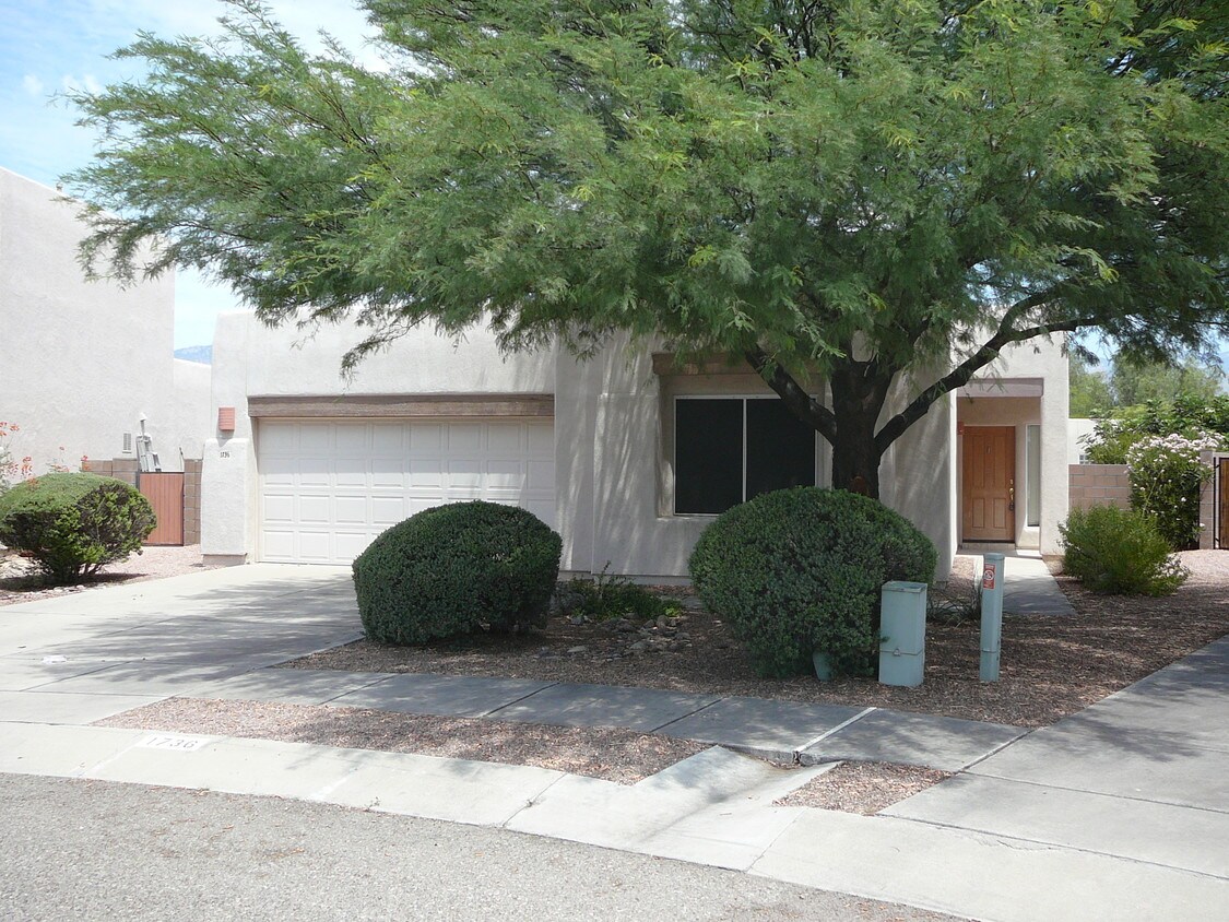 1736 N Wild Hyacinth Dr, Tucson, AZ 85715 House Rental in Tucson, AZ