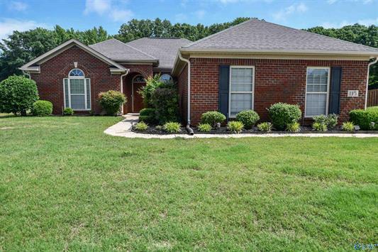 Foto principal - 115 Sage Willow Dr SW