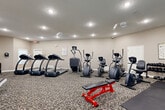 Located at 4345 N 126th St in Omaha, Nebraska, this fitness center offers a well-rounded workout facility designed to accommodate a variety of exercise needs. The single-floor space is generously sized, providing ample room for both cardio and strength training activities without feeling cramped.

The cardio section is outfitted with multiple treadmills, including models equipped with interactive touchscreen displays, as well as elliptical trainers and a stationary recumbent bike — offering users a diverse range of low- and high-impact aerobic options. A wall-mounted flat-screen television is positioned within view of the cardio equipment for added convenience during workouts.

The strength training area features a multi-station cable machine, a dedicated cable crossover unit, weight benches, and a rack of dumbbells, supporting a full range of resistance and muscle-building exercises. Rubber floor mats are installed beneath the free weight and strength equipment zones to provide stability and floor protection.

The space is finished with a textured ceiling, recessed lighting throughout, and neutral-toned walls that create a clean, functional atmosphere. Windows along one side of the room allow natural light to enter and provide views of the surrounding outdoor greenery. A mirrored wall section further enhances the sense of openness. The patterned carpet throughout adds a polished, well-maintained appearance to the overall space.