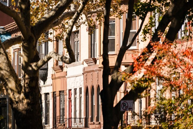 Building Photo - 43 Halsey St