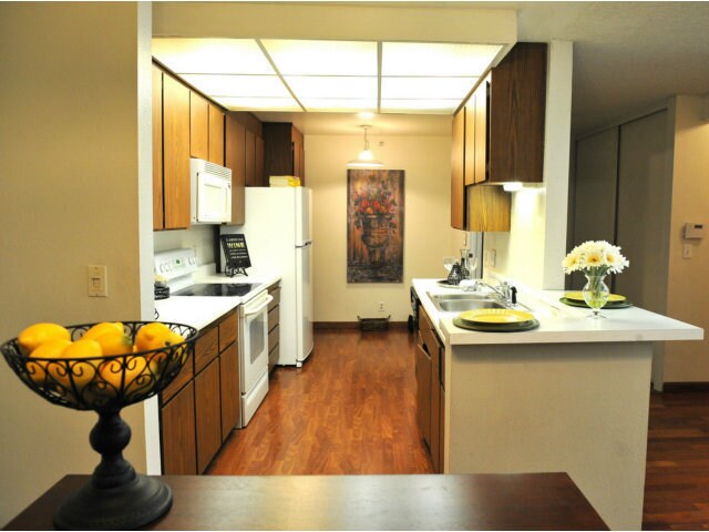 Kitchen - 332 Philip Dr