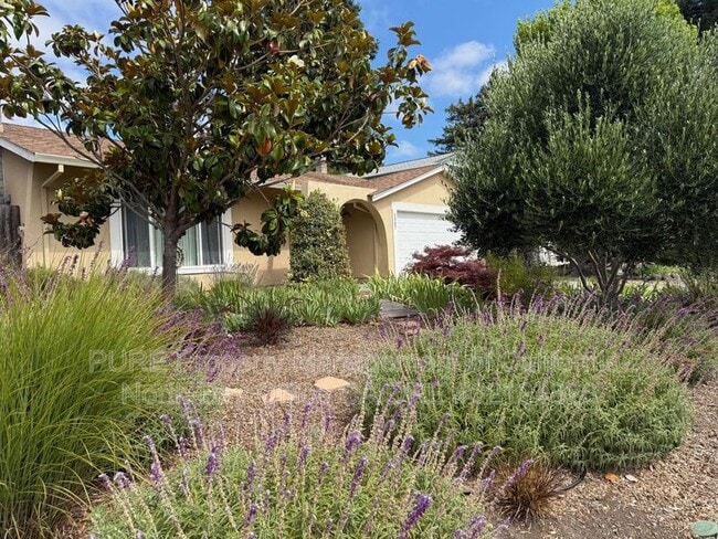Building Photo - 1567 Filippini Way