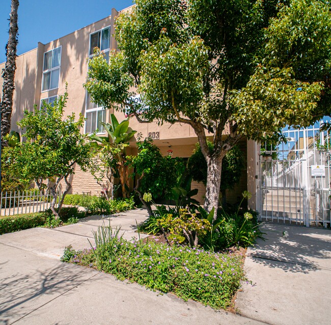 Front door of builidng - 803 W 30th St