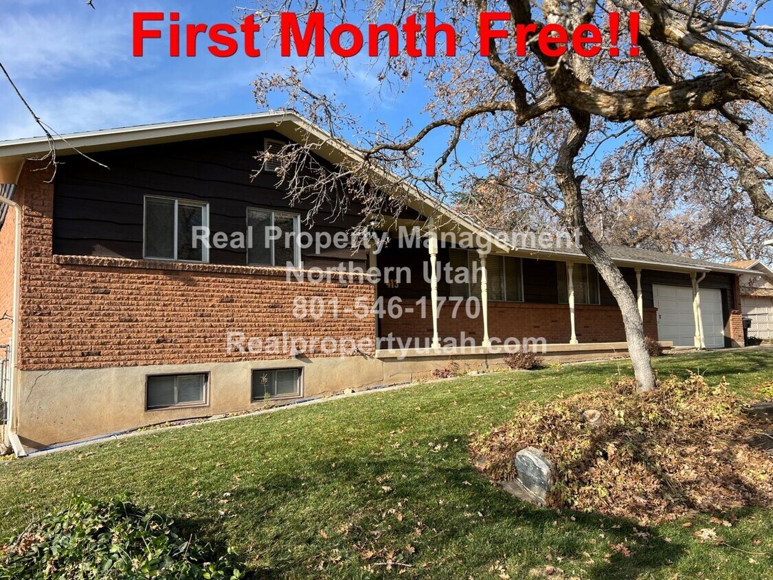 Primary Photo - Beautiful 4 Bedroom 2 Bath Home in Fruit H...