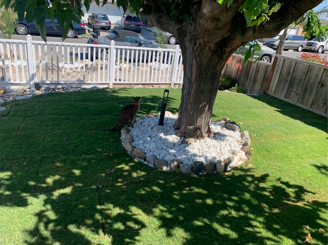 Photo - 3196 Durant Ave House