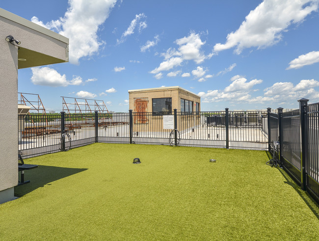 Parque para perros en la azotea - Storehouse Lofts