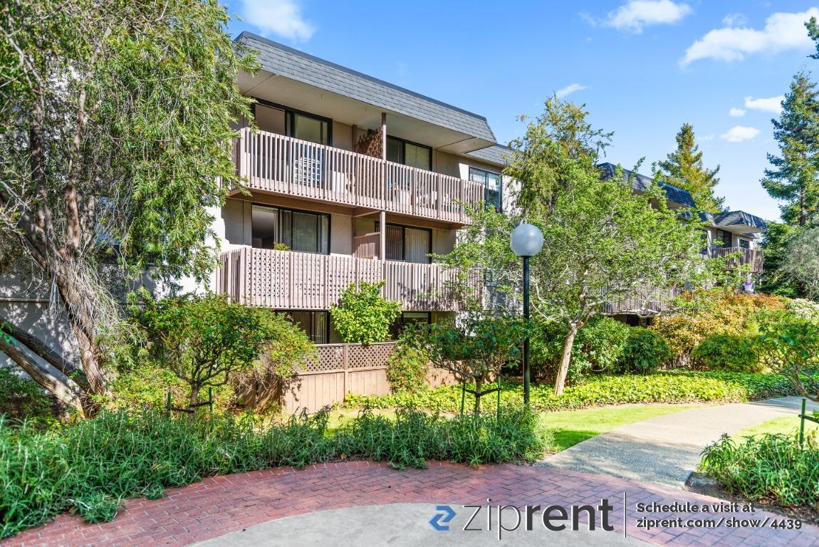 3349 Shelter Creek Ln