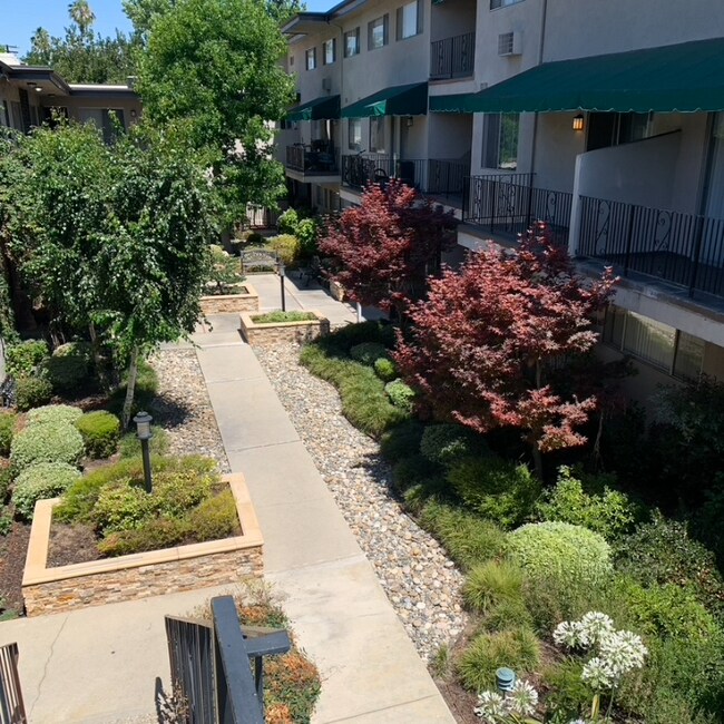 Building Photo - 220 E Live Oak St
