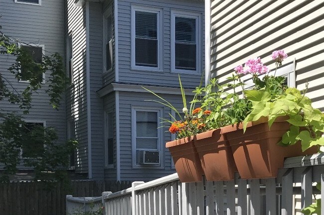 Exterior - 46 Columbia St